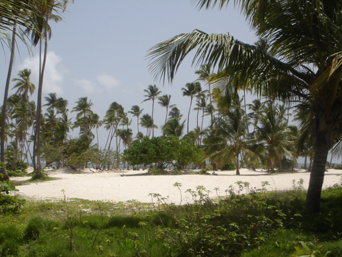 la plage de l'hotel